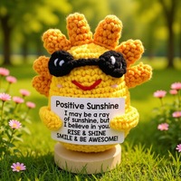 Cadeaux d'anniversaire Positive Sunshine pour femmes et filles, animaux en crochet positifs, cadeaux de Noël, décorations de bureau