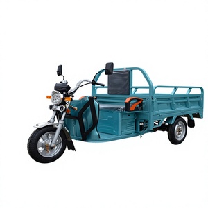 Triciclo Eléctrico de Carga <span class=keywords><strong>Long</strong></span> <span class=keywords><strong>Teng</strong></span> 1.5, Solución de Transporte Duradera, de Alta Capacidad y Rentable - Product Image 1