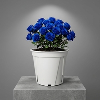 Pots de fleurs modernes et élégants en plastique blanc pour pépinière, jardinières verticales pour la maison, le bureau, avec drainage, pour plantes d'intérieur