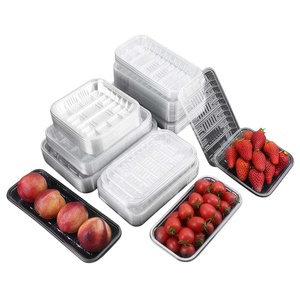 Contenedor de Alimentos Desechable para Llevar, Plástico, 4 Compartimentos, Tipo Bento, con Tapa Transparente, para Preparación de Comidas y Dietas - Product Image 6