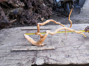 Groothandel Aquarium Geel Drijfhout Wortels - Product Image 6