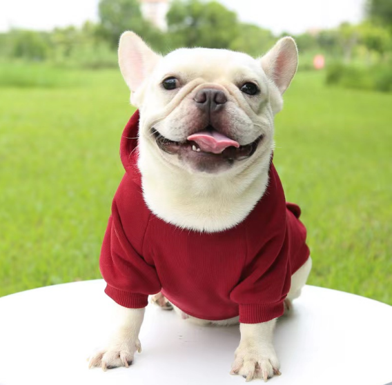 Casual Sporty Style Warm Puppy Dog Cloth Thickened Soft Solid Color Pet Hoodies