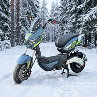 Vélo électrique 800W, double siège, conduite confortable, look sportif, structure légère, batterie au plomb-acide 60V 70V, adulte