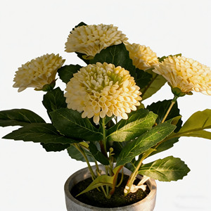 Meilleur prix pour les <span class=keywords><strong>fleurs</strong></span> artificielles de dahlia, <span class=keywords><strong>fleurs</strong></span> personnalisées de petite taille, vente <span class=keywords><strong>en</strong></span> gros, décoration de mariage, <span class=keywords><strong>fleurs</strong></span> réalistes <span class=keywords><strong>en</strong></span> <span class=keywords><strong>pot</strong></span> <span class=keywords><strong>en</strong></span> pulpe de papier - Product Image 6