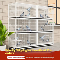 Cage d'élevage pour pigeons avec plateau en fer et plastique, sécurisée, pour intérieur et extérieur, anti-rongeurs, avec poulie, taille moyenne, cage pour animaux de compagnie