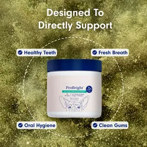 Polvo Dental Natural a Base de Enzimas Herbales <span class=keywords><strong>para</strong></span> <span class=keywords><strong>Perros</strong></span> y Gatos, Eliminador de Sarro y Mal Aliento, Refrescante Bucal, Refuerzo Inmunológico Orgánico, Seguro - Product Image 3