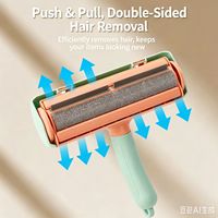 Brosse anti-poils pour animaux de compagnie en ABS, grattoir adhésif pour nettoyage des poils, utilisation sur canapé et lit pour chat, modèle 07A1111, fabriqué en Chine, vente en gros