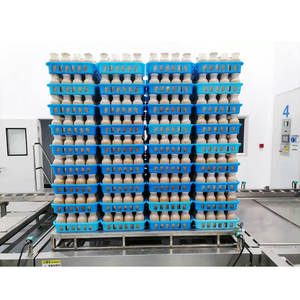 ขวดเพาะเห็ด PP ทนความร้อนสูง 850-1400 มล. ใช้ซ้ำได้ ฆ่าเชื้อได้ - Product Image 2