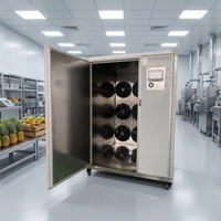 Energiebesparende commerciële fruitdroogmachine warmtepomp 16 jaar fabriekservaring