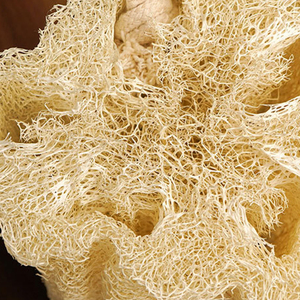 Luffa égyptienne naturelle en forme de melon, serviette de bain exfoliante, gant de toilette, chiffon nettoyant pour l'exfoliation corporelle, pour hommes et femmes - Product Image 3