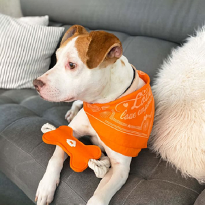 Jouet interactif pour chien en feutre avec nœud de corde, jouet à mâcher en forme d'os pour chiots et animaux agressifs, jouet d'entraînement à mâcher pour chien - Product Image 2