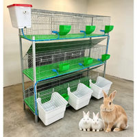 Système d'élevage de lapins galvanisé robuste pour fermes commerciales avec compartiment de nidification intégré et surface de nettoyage facile
