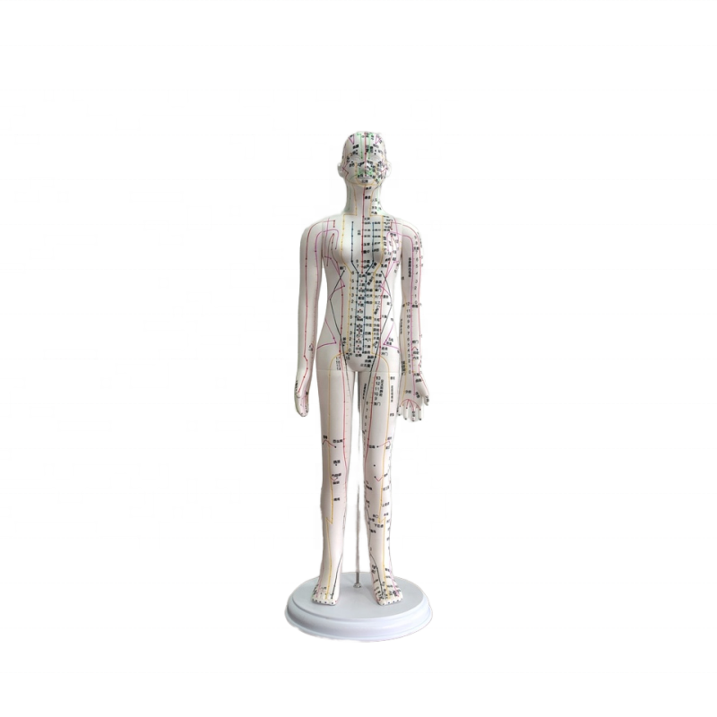 DARHMMY Professional Acupuncture Manikin Head Training