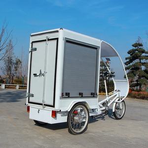 Resistencia de 90km, Motor de 1000W, tres ruedas, asistencia eléctrica, camión de comida, Trike de entrega - Product Image 3