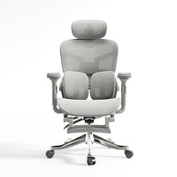 Chaise d'ordinateur réglable en plastique avec dossier ergonomique pour le bureau à domicile et les jeux, confortable pour une utilisation prolongée