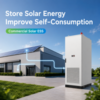 Armoire de stockage d'énergie tout-en-un à refroidissement liquide 125 kW 261 kWh LiFePO4 hors réseau C&I CE CEI 0-21 pour les installateurs solaires photovoltaïques européens
