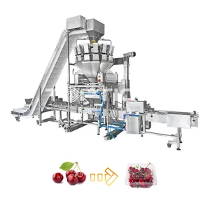 Automatic combination Snacks and Vegetable Salad 14 Head Multihead Weigher For automatic combination packing machine