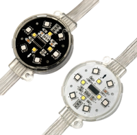 Luz Puntual LED RGBW Resistente al Polvo, Impermeable IP67, para Ingeniería, Paisajismo, Iluminación de Carteleras, Cuerpo de Lámpara de PC, Luz Suave