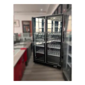 Frigidaire çift kapılı pepsi buzdolabı frezzer ticari dondurucu 2 dors buzdolabı hava soğutmalı soğutucu