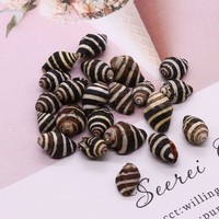 En vrac en gros bricolage sans trou conque trompette coquille bijoux perles blanc et noir 10x15mm 1728338