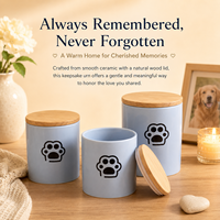 Urne commémorative pour animaux de compagnie, récipient en céramique avec couvercle pour cendres de chien ou de chat, cadeau commémoratif