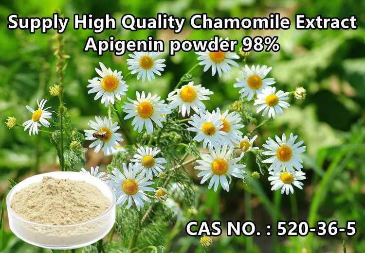 CAS 520-36-5 Natural Plant Extracts Chamomile Extract Apigenin Powder 98% 0