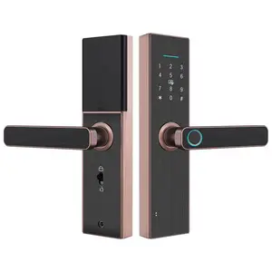 High level WIFI Remote control TUYA TT lock APP Fingerprint waterproof Password Key handle smart lock