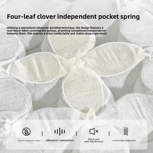 <span class=keywords><strong>ที่นอน</strong></span>สปริงถอดได้0กาวเฟอร์นิเจอร์ในบ้านปรับความนุ่มป้องกันกระดูกสันหลังได้ทันสมัย - Product Image 5