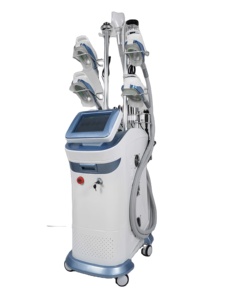 Professional Home and Salon Use Fat Freezing Machine 360 Angel Back Peach Buttocks Arm Fat Removal ABS Metal Standing Design - Product Image 1