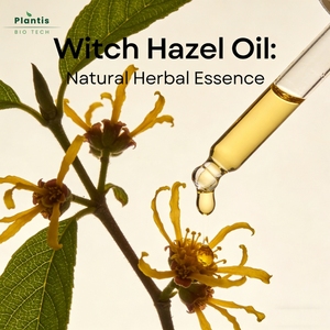 Estratto di Witch Hazel 99% <span class=keywords><strong>Naturale</strong></span> Grado Cosmetico <span class=keywords><strong>Astringente</strong></span> Minimizzatore di Pori Controllo Olio <span class=keywords><strong>Tonico</strong></span> Viso Witch Hazel Grezzo - Product Image 2
