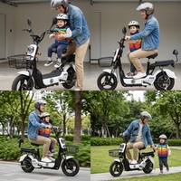 Nouveau vélo électrique à deux roues pour adultes, norme nationale - Approvisionnement transfrontalier direct d'usine