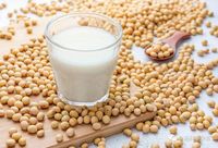 Isolat de protéines de soja |   Essence de protéines végétales à 90% de pureté, polyvalente dans la transformation alimentaire, directement de l'usine