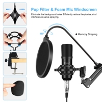 Studio PULUZ Professionelles Gesangsmikrofon-Set mit Schwenkarm, Metall-Schockhalterung und USB-Soundkarte