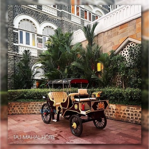 Calèche électrique de mariage / Calèche romantique de Noël pour la visite des sites / Buggy électrique de tourisme - Product Image 4