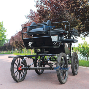 Carruaje para Caballos en Oferta, Transporte Especial para Carruajes de Maratón/Carruaje de Maratón Encantador, Precio de Fábrica - Product Image 6