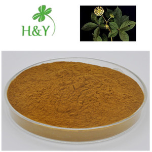 Cung cấp thực vật tự nhiên chiết xuất tinh khiết <span class=keywords><strong>Siberian</strong></span> Nhân Sâm gốc bột <span class=keywords><strong>Siberian</strong></span> chiết xuất nhân sâm - Product Image 2