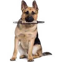 Jouets pour chiens en corde de chanvre, jouets d'entraînement en nylon pour animaux de compagnie, longue tige en polaire, jouets de traction en jute avec bungee pour chiens