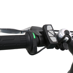 Oferta Especial: Bicicleta Eléctrica de 7 Velocidades con Motor Trasero en el Cuadro, 20 Pulgadas, 48V 250W, Cuadro Soldado, 20"x4.0, Ligera y Compacta - Product Image 4