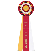 Ruban de rosette de prix de jardin personnalisé 6.5 "ruban de prix rose avec insigne de conception de paysage floral en satin