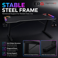 Ergonova RGB Gaming Desk with LED Lights Carbon Fiber Surface Storage Z-shaped Computer Table OEM Custom E-Sports Desk