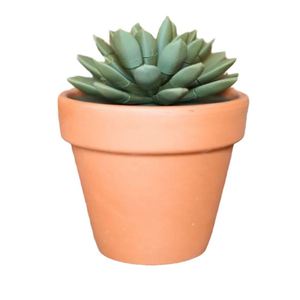 Planta Suculenta Artificial Impresa en 3D con Tecnología de Impresión por Impulsos - Product Image 5