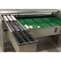 Machine de tri d'œufs automatisée 5400 pièces/heure avec détection des défauts pour l'industrie de la volaille et les usines de transformation