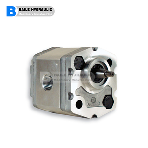 Bomba de Engranajes POMPE Serie 1PR, 1PR1.6, 1PR2, 1PR2.5, 1PR3.3, 1PR4.2, 1PR5, 1PR5.8, 1PR6.7, 1PR7.5, 1PR9.2, 1PR11.5, 1 Año de Garantía, 20W - Product Image 2