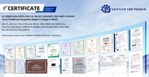 Groupe électrogène <span class=keywords><strong>diesel</strong></span> silencieux <span class=keywords><strong>Volvo</strong></span> 280 kW avec moteur <span class=keywords><strong>diesel</strong></span> 350 kVA, ensemble de pompe à eau de haute qualité (niveau 5) - Product Image 5