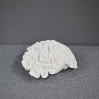 Décoration de table personnalisée pour la maison, Sculpture de corail en résine blanche pour la décoration d'aquarium