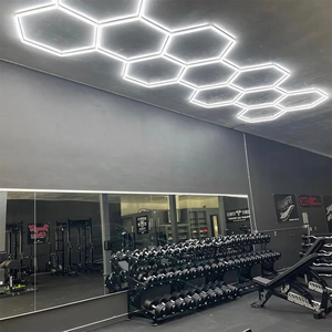 SUEZ سقف معلق التفاصيل مسدس الإضاءة الداخلية متجر أدى سداسية السيارات ضوء بالتفصيل - Product Image 5