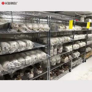 High Quality Industries China Mushroom Grow Shelf Shelving Green House