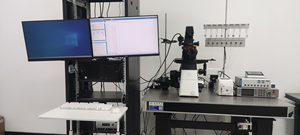 Calciumcontractieloodsysteem, hogesnelheidscamera fluorescentiebeeldvorming voor detectie van calcium en contractie in cellen - Product Image 4