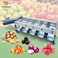 Olijf Knoflook Ui Appel Was- en sorteermachine Sinaasappel Blauwe bes Aardappel Avocado Sorteermachine 5 en sorteermachine voor fruit