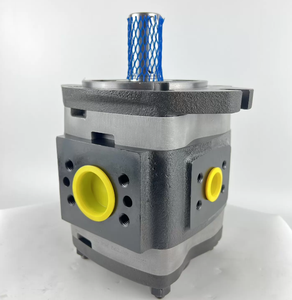 Pompe à engrenages interne IPS 6-100 101, neuve, référence 6-100 101 - Product Image 1
